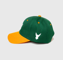 Load image into Gallery viewer, CLASSIC ART REGIME Green/Yellow Strapback
